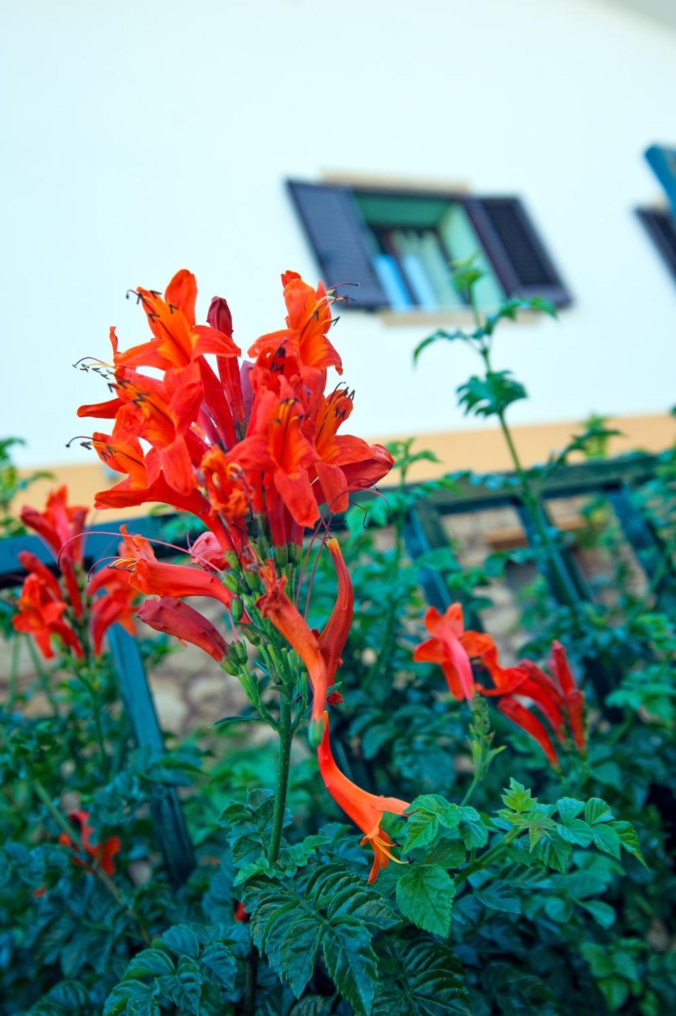 Aparthotel Casale La Zagara Sciacca Zewnętrze zdjęcie